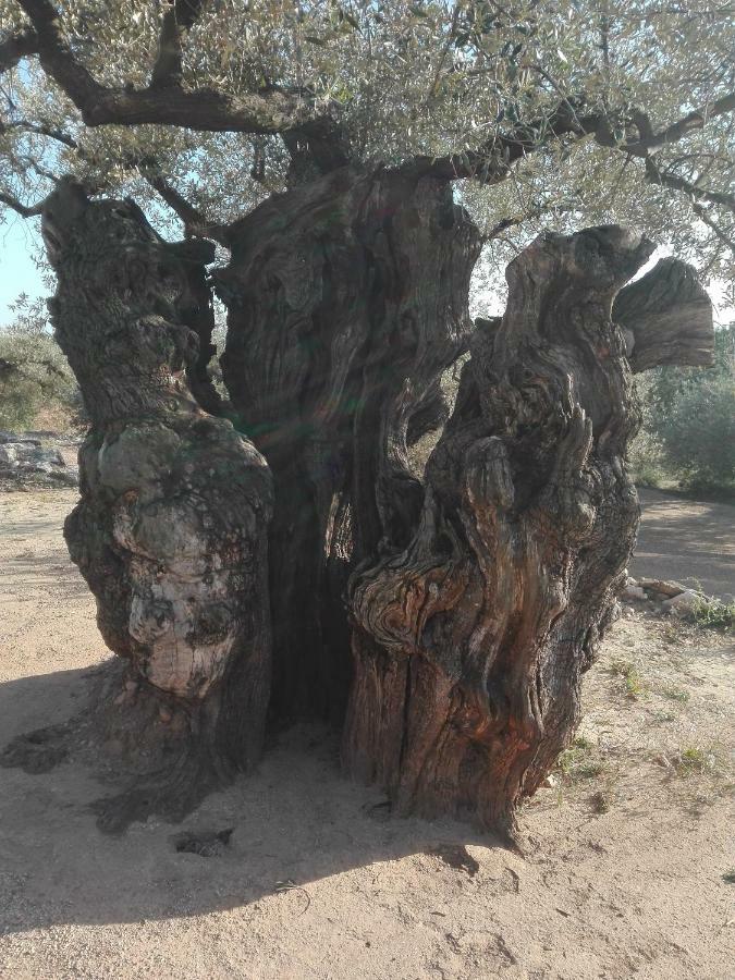 La Mallada San Jorge  Kültér fotó
